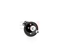 GH Stoßdämpfer gh354552v Hinterachse links für TOYOTA