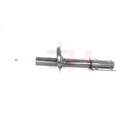 GH Stoßdämpfer vorderachse für Citroën Jumper Kasten 244 2.2 HDi 2.8 230L 2.5