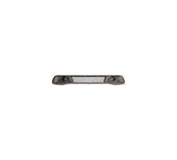 Gitter Zentral Niedriger Stoßstange für smart Fortwo 2012 Al 2014 A4518880423