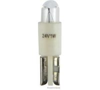 HERTH+BUSS ELPARTS Glühlampe Instrumentenbeleuchtung 89901231 Kunststoff