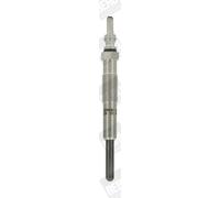 Glühkerze BORG WARNER (BERU) GN 019