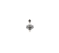 BOSCH 1 987 302 742 Glühlampe, Fernscheinwerfer