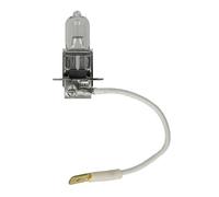 BOSCH Glühlampe, Fernscheinwerfer 1 987 302 031