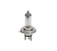 BOSCH Glühlampe, Fernscheinwerfer 1 987 302 048