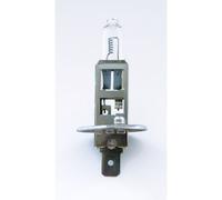 Glühlampe Halogen PHILIPS H1 Masterlife 24V, 70W, 1 Stück