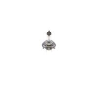 Glühlampe, Hauptscheinwerfer - Bosch 1 987 302 441 - 1987302441