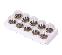 Glühlampe R10W BA15S 12V 10W - 10 Stück