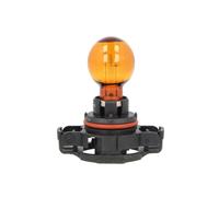Philips Vision 12188NAC1 Standard-Signal- und -Innenbeleuchtung