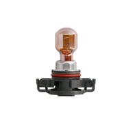 PSY24WSV+ 12V SilverVision Plus Chrome Lampe 2St Philips + KFZ Sicherungen flach