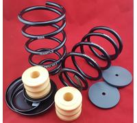 GOLDSCHMITT Zusatzschraubenfedern M5 für Hinterachse Fiat Ducato ab 2006