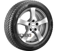 Goodride SW608 225/55R17 101 V XL