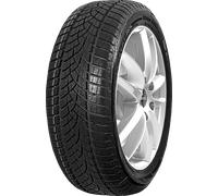Goodyear UltraGrip Performance G1 AO 205/55 R16 91H