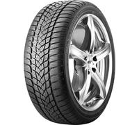 GOODYEAR Winterreifen 526717 205/55 R16 91H