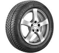 GOODYEAR Winterreifen 532413 205/60 R16 92H