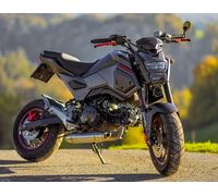 Schalldämpfer Komplett GPR Deeptone Inox Racing für Honda Grom Msx 125 2013-2017