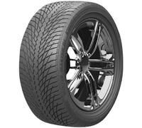 Greentrac Winter Master D1 245/45 R18 100 V, Winterreifen