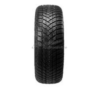 GT-Radial Winterpro 2 M+S 3PMSF 205/55 R16 91T Winterreifen
