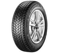 GT-Radial Winterpro 2 M+S 3PMSF 205/55 R16 91T Winterreifen