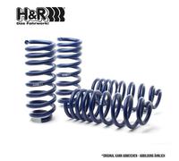 H&R 28935-1 Fahrwerksatz, Federn