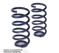 H&R Federn VA30mm 29742-5 BMW 5er E39 Lim. 5/D Tieferlegung Sportfedern