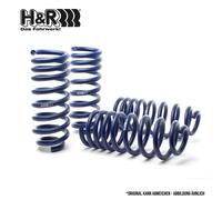 H&R 28935-2 Fahrwerksatz, Federn