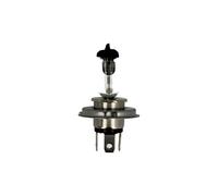 H4 100/90 WATT / 12 VOLT - HALOGEN GLÜHLAMPE NUR FÜR OFFROAD