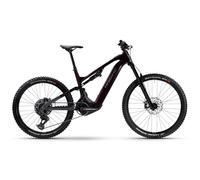 Haibike AllMtn CF 9 Black / Platinum 2025 M