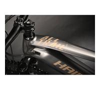Haibike AllTrail 5 Fully MTB E-Bike (27,5" | 720Wh | titan / karamel) Größe: 44 cm