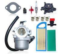 Haishine 590399 796077 Vergaser mit Luftfilter für Briggs & Stratton 215802 215807 215902 Rasenmäher Motor Ersetzt 697153 491922 mit Ölfilter Zündkerze etc