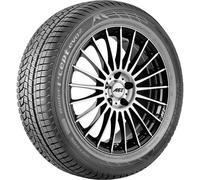 HANKOOK REIFEN Winterreifen 1024622 225/45 R18 95H