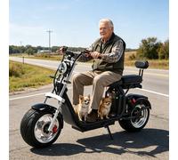 Harley Elektroroller 3000W Motor Deutsche Straßenverkehrsgenehmigung 45KM/H