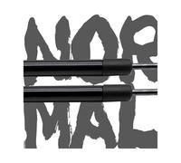 Heckklappenaufsteller 2 Stück Auto Heckscheibe Gasdruckfedern Shock Lift Unterstützt Für Jeep Für Wrangler Für TJ-Serie 1997-2006 645 Mm(Normal Black)