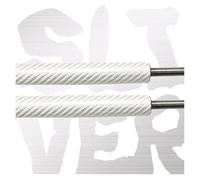 Heckklappenaufsteller 2 Stück Heckklappe Dämpfer Für Ford Für Focus Für RS Für Mk2 Fließheck 2009-2011 Stamm Boot Gas Streben Lift Unterstützung(SILVER CARBON FIBER)