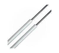 Heckklappenaufsteller Für 1 Serie Für E87 5-türiger Fließheck 2004-2011 Heckklappe Boot Lift Unterstützung Stoßdämpfer(Silver Carbon Fiber)