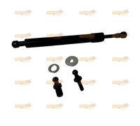 Heckklappendämpfer Für Ford Ranger T9 2023-2024 mit Soft Release Funktion Kofferraum Stoßdämpfer Kolben Heckklappe