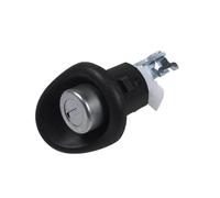 Heckklappenschloss Für Dacia Für Logan Für SANDERO Für TWINGO 7701367940 6001551102 Auto Heckklappe Stamm Deckel Schloss Dual Schlüssel Kofferraum Türschloss