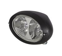 HELLA Arbeitsscheinwerfer 1GA 996 361-011 für DAF AGRIFAC