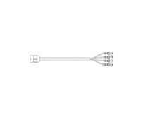 Heckleuchte HELLA 2SD 013 155-021 für DAF, links, rechts