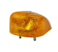 Blinkleuchte vorne 12 V Sockelglühlampe Halogen HELLA für FENDT GT