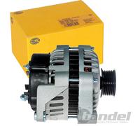Lichtmaschine Generator 12 V 100 A Ø 50 mm HELLA für u.a. OPEL ASTRA