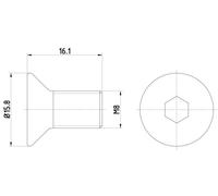 HELLA Schraube, Bremsscheibe 8DZ 355 209-061