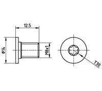 HELLA Sicherungsschraube Bremsscheibe 2x