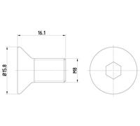 HELLA Sicherungsschraube Bremsscheibe 2x Vorne Rechts Links für MAZDA Cx-7 Mx-6