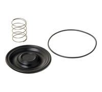 Dichtung, Kurbelgehäuseentlüftung HENGST FILTER AS500M