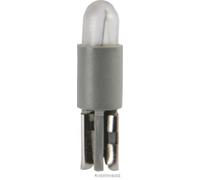 HERTH&BUSS Glühlampe, Instrumentenbeleuchtung, 24V 1,2W grau - 89901249