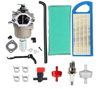 Hippotech Vergaser mit Luftfiltern für Briggs Stratton 594593 591731 794572 791888 698445 590400 791858 593433 793224 792358 697190 699916 699109 796109 für 31H777 Motor