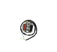 Hivernoi Motorradteile CDI Stator SPULE CDI 12V 35W Für Zundapp Für Kreidler Für Hercules Für Zündung Lichtmaschine Für Puch Race Elektronische Moped