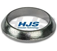 HJS 83 13 2810 Dichtring, Abgasrohr