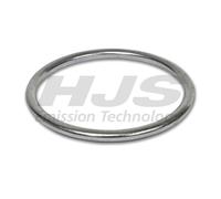 HJS 83136453 Dichtring für Abgasrohr Dichtring Dichtung Abgasrohr Auspuff