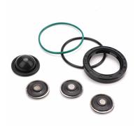 Hochdruckpumpe Z22YH P1191 Direct Reparatursatz FÜR OPEL ASTRA Zafira Vectra DHL
